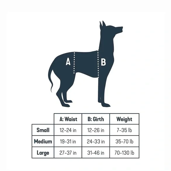 🆕 [PetSafe] CareLift Handicapped Support Dog Harness Sz: Large - Picture 5 of 7